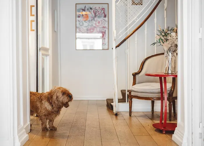 Arvor Saint Georges Paris