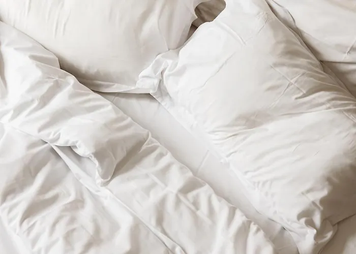 아르보르 생 조르쥬